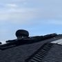 Photo of Maximum Roofing