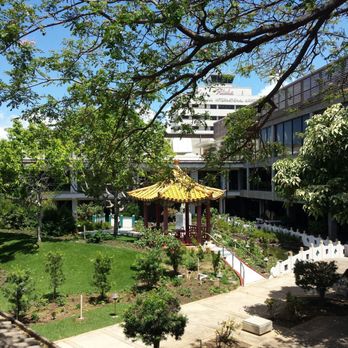 Chinese Garden - Beautiful day in Honolulu! - Botanical Gardens Near Me - Honolulu, Hawaii