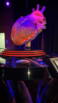 The Health Museum by null