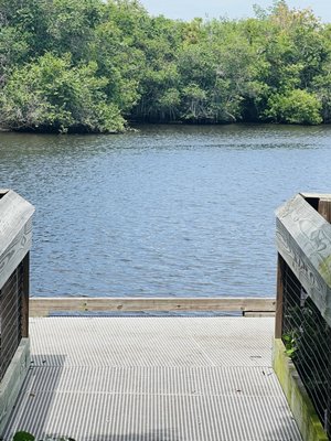 River Park Marina by null