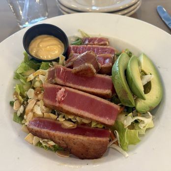 The Captain's Table - Ahi tuna wrap (without the wrap) - Seafood Near Me - Punta Gorda, Florida The Captain's Table - Ahi tuna wrap (without the wrap) - Seafood Near Me - Punta Gorda, Florida