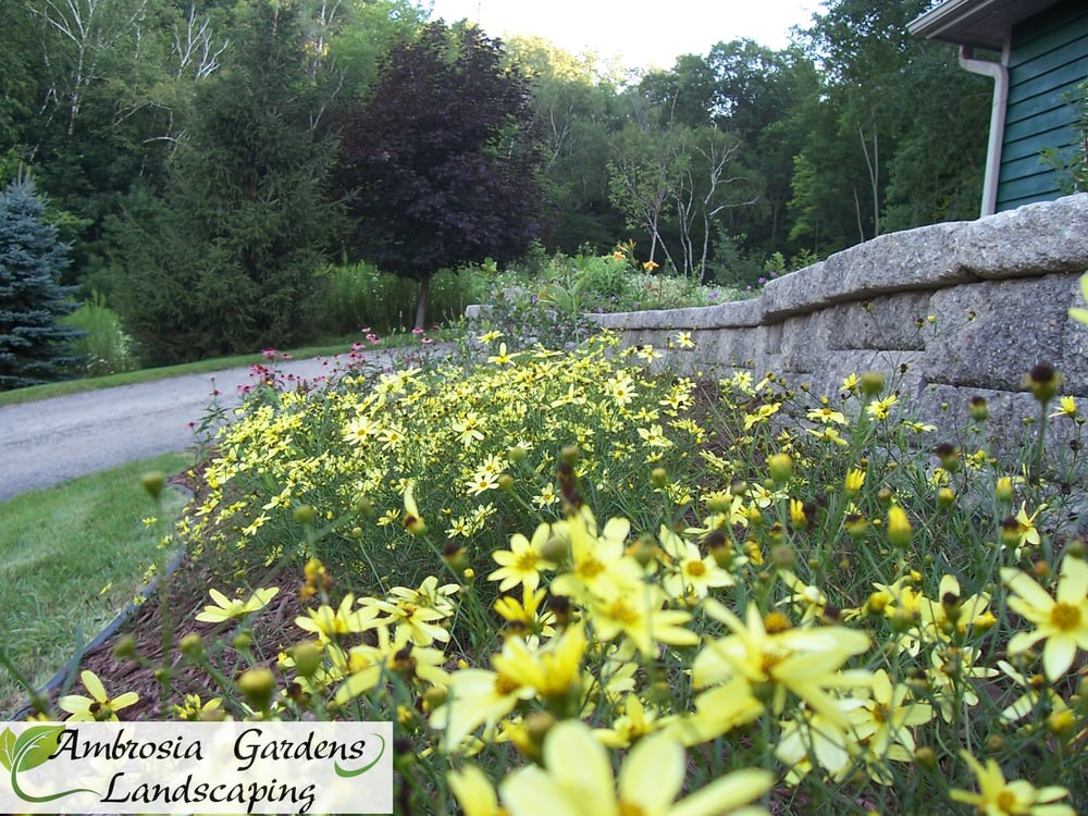 AMBROSIA GARDENS/ MCKAY NURSERY Updated October 2024 360 5th Ave N