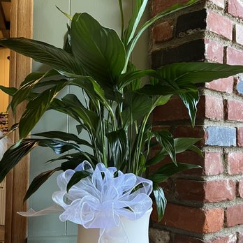 Bardwell's Florist - Florists Near Me - Sun Valley, California