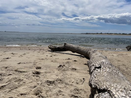 Salisbury Beach State Reservation by null