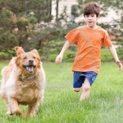 Doody First - Your kids and pets love a clean yard