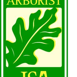 D & J Professional Tree Service