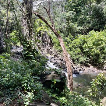 Kapena Falls - Local Flavor Near Me - Honolulu, Hawaii