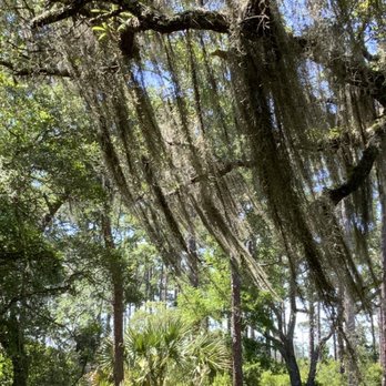 St Marks National Wildlife Refuge - Parks Near Me - Saint Marks, Florida