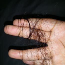 When you comb your fingers through the hair this comes out