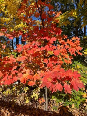 Walkway Over the Hudson State Historic Park by null