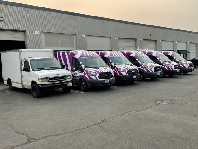 Slide of Plumb Zebra