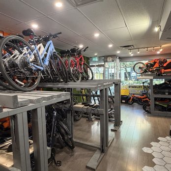 Stanley Bike Rentals - Scooter Rentals Near Me - Vancouver, British Columbia Stanley Bike Rentals - Scooter Rentals Near Me - Vancouver, British Columbia