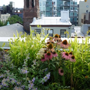 Red Fern Brooklyn - Terrace Garden in Clinton Hill - Gardeners Near Me - Brooklyn, New York