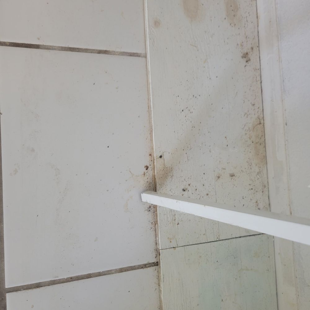 Amara’s Cleaning Solutions - Dirty floors - Home Cleaning Near Me - Port Charlotte, Florida Amara’s Cleaning Solutions - Dirty floors - Home Cleaning Near Me - Port Charlotte, Florida