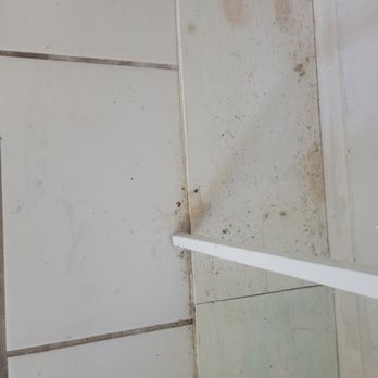 Amara’s Cleaning Solutions - Dirty floors - Home Cleaning Near Me - Port Charlotte, Florida Amara’s Cleaning Solutions - Dirty floors - Home Cleaning Near Me - Port Charlotte, Florida