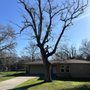 Photo of DuBose Tree & Land Management