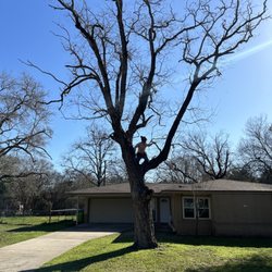 DuBose Tree & Land Management