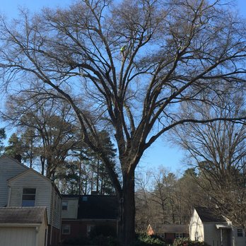 Smart Tree Service - Tree Services Near Me