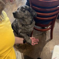 Layton's Chance Vineyard & Winery - Loci wants some crackers