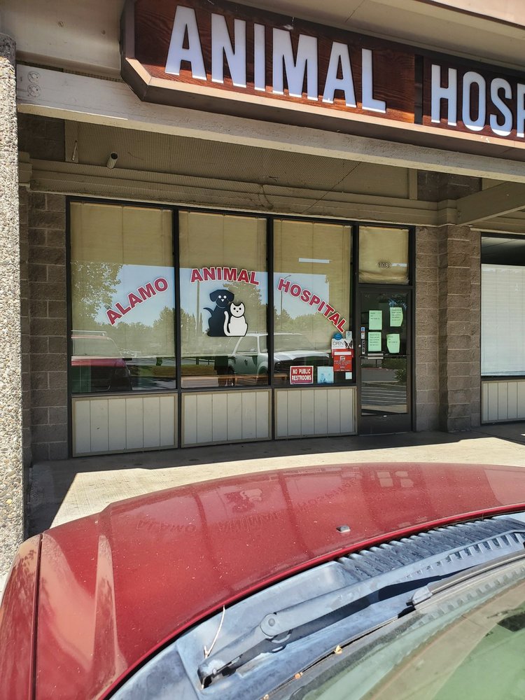 ALAMO ANIMAL HOSPITAL Updated October 2024 10 Photos & 83 Reviews