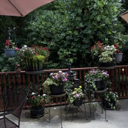 Little Vine Vineyards and Winery - Nature views & area