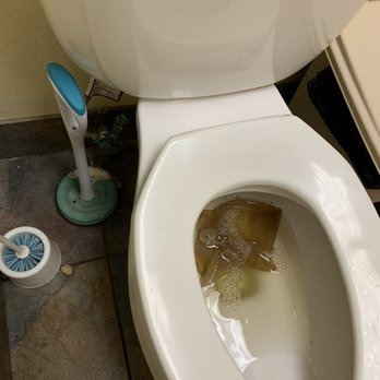 Smoothie King - Dried moldy toilet paper on plunger, dried urine on the toilet seat, urine on the ground, trash on the ground!! - Juice Bars & Smoothies Near Me - San Antonio, Texas
