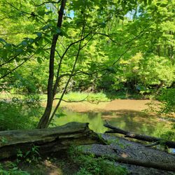 Smeck Park - Walnut Creek