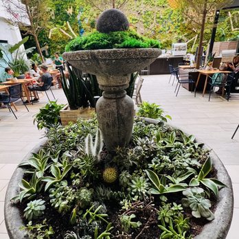 The Pots Cafe - Cafes Near Me - Boca Raton, Florida