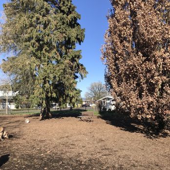 Corvallis Dog Park - Dog Parks Near Me - Corvallis, Oregon Corvallis Dog Park - Dog Parks Near Me - Corvallis, Oregon