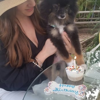 The Dog Bar - Someone turned 5 today! Happy birthday Oliver! - Pet Stores Near Me - Miami Beach, Florida The Dog Bar - Someone turned 5 today! Happy birthday Oliver! - Pet Stores Near Me - Miami Beach, Florida