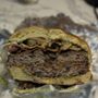 Photo of Smokin Pete's Burger Stop