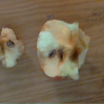 Howell Mountain Market - Not all of the produce from the College Market is this bad, but I've never bitten into this much rotten fruit from anywhere. - Grocery Near Me - Angwin, California Howell Mountain Market - Not all of the produce from the College Market is this bad, but I've never bitten into this much rotten fruit from anywhere. - Grocery Near Me - Angwin, California
