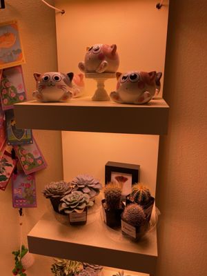 Queer Plants Cafe by null