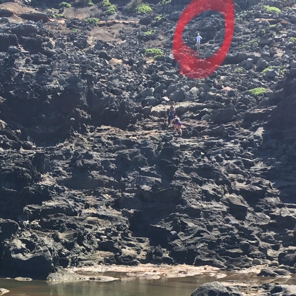 Olivine Pools - The climb down - circled a guy for scale - Beaches Near Me - Maui, Hawaii Olivine Pools - The climb down - circled a guy for scale - Beaches Near Me - Maui, Hawaii