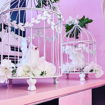 Mrs Coco - More decor - Cafes Near Me - Henderson, Nevada Mrs Coco - More decor - Cafes Near Me - Henderson, Nevada