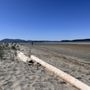 Photo of Sidney Spit