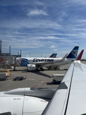 Berlin Brandenburg Airport by null