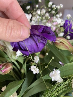 Safeway Bakery by null