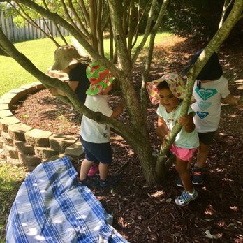 Marigold Children's Garden - Climbing trees - Child Care & Day Care Near Me - Woodbridge, Virginia