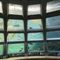 seattle-aquarium-seattle photo UTxP1V77m3_dKcZGBuoNMA