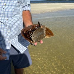 Everglades Area Tours