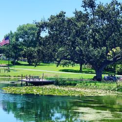 Dovecote Estate Winery - Picnics and wine tastings by Mission Pond