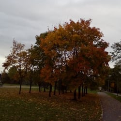 Centrální park Praha 11 - Podzim v parku