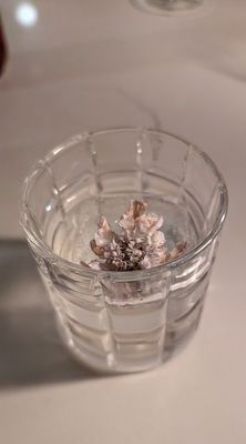 48 Record Bar by null