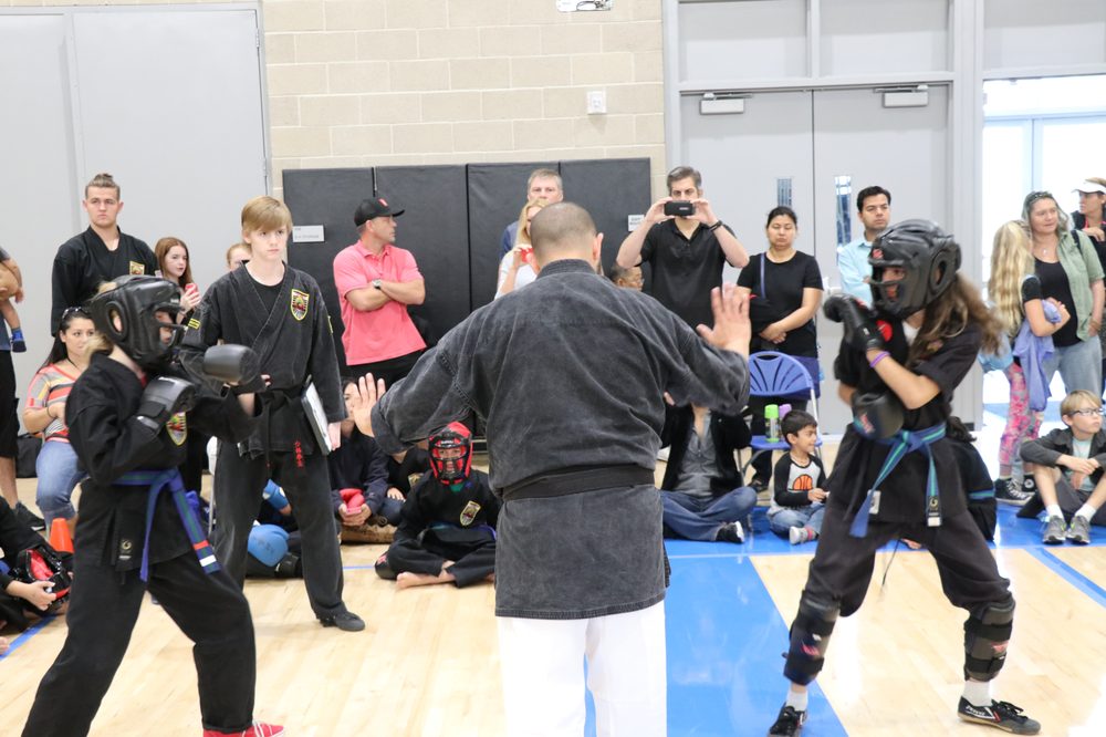 United Studios of Self Defense Logo