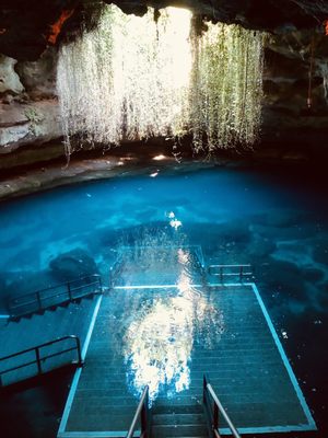 Devil's Den Prehistoric Spring and Campground by null