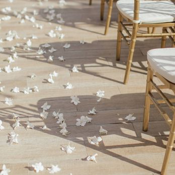 Modern Elopement - Wedding Planning Near Me - Honolulu, Hawaii Modern Elopement - Wedding Planning Near Me - Honolulu, Hawaii