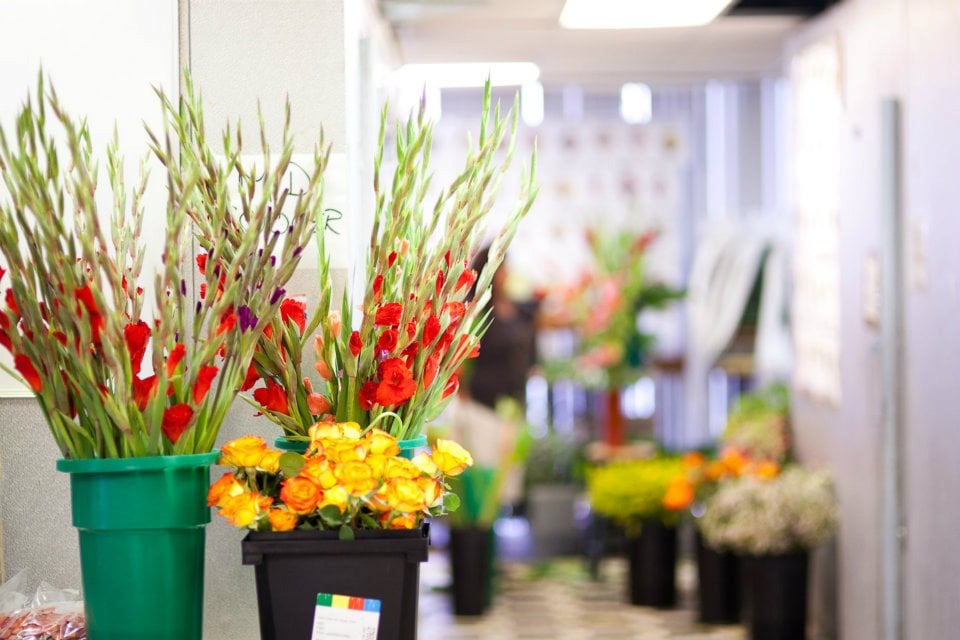 MYFLORIST 89 Photos & 59 Reviews Florists 1984 Chain Bridge Rd