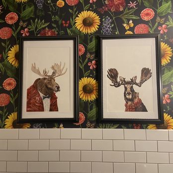 Maple Moose Coffee and Pop Shop - Bathroom moose pt 2 - Coffee & Tea Near Me - Billings, Montana Maple Moose Coffee and Pop Shop - Bathroom moose pt 2 - Coffee & Tea Near Me - Billings, Montana