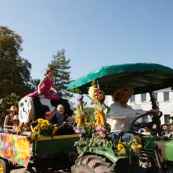 Dorfkrug - Festumzug zum Erntefest 2011